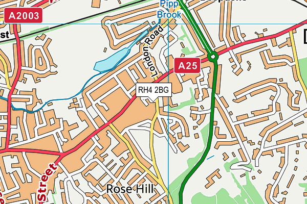 RH4 2BG map - OS VectorMap District (Ordnance Survey)