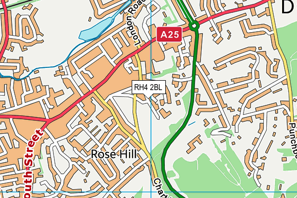 RH4 2BL map - OS VectorMap District (Ordnance Survey)