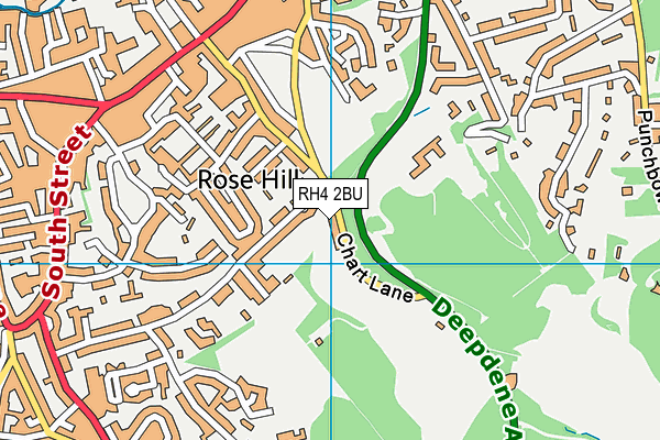 RH4 2BU map - OS VectorMap District (Ordnance Survey)