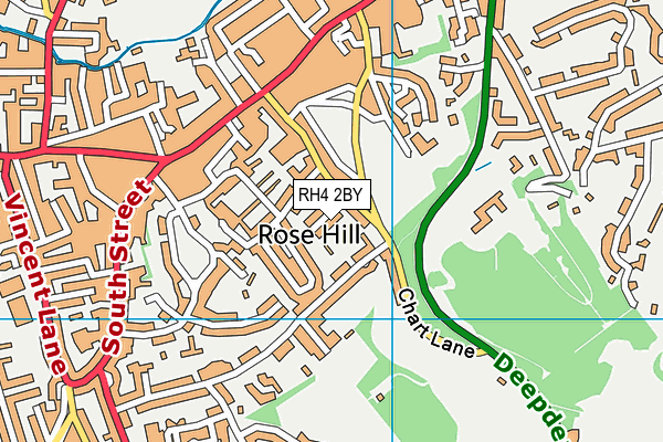 RH4 2BY map - OS VectorMap District (Ordnance Survey)