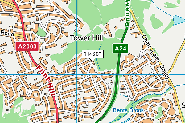 RH4 2DT map - OS VectorMap District (Ordnance Survey)