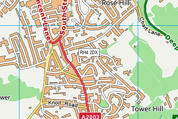 RH4 2DX map - OS VectorMap District (Ordnance Survey)