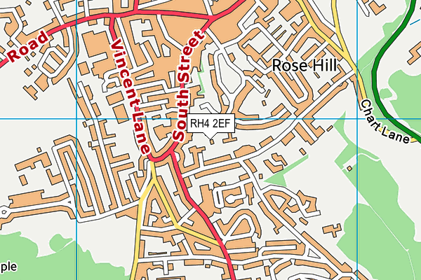 RH4 2EF map - OS VectorMap District (Ordnance Survey)