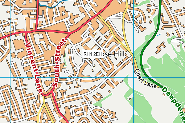 RH4 2EH map - OS VectorMap District (Ordnance Survey)