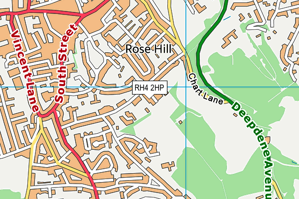 RH4 2HP map - OS VectorMap District (Ordnance Survey)