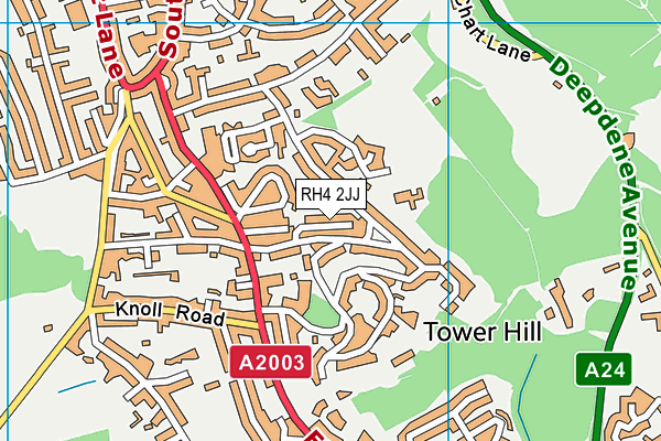 RH4 2JJ map - OS VectorMap District (Ordnance Survey)