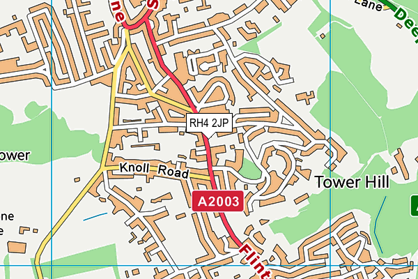 RH4 2JP map - OS VectorMap District (Ordnance Survey)