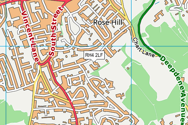 RH4 2LF map - OS VectorMap District (Ordnance Survey)