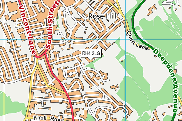 RH4 2LG map - OS VectorMap District (Ordnance Survey)
