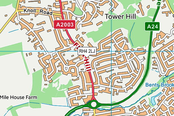 RH4 2LJ map - OS VectorMap District (Ordnance Survey)