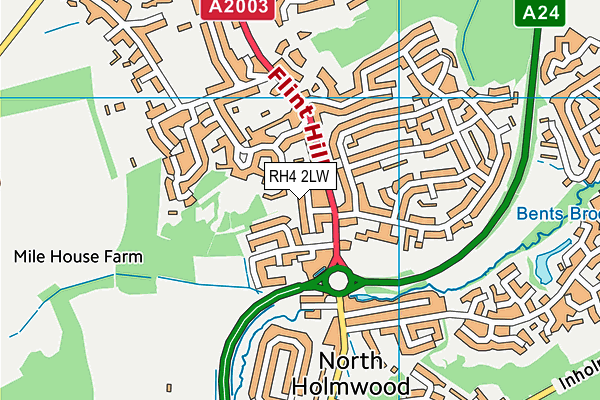 RH4 2LW map - OS VectorMap District (Ordnance Survey)