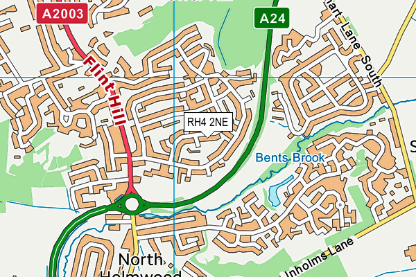 RH4 2NE map - OS VectorMap District (Ordnance Survey)