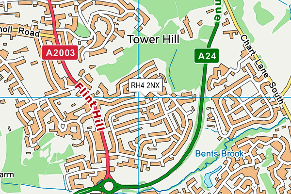 RH4 2NX map - OS VectorMap District (Ordnance Survey)