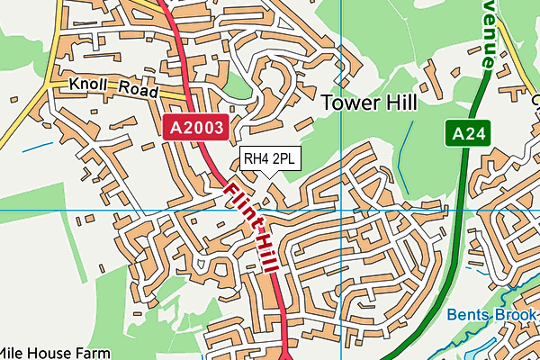 RH4 2PL map - OS VectorMap District (Ordnance Survey)