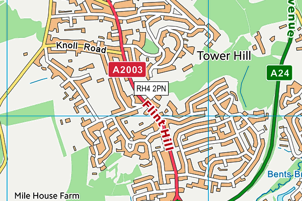 RH4 2PN map - OS VectorMap District (Ordnance Survey)