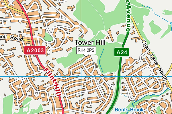 RH4 2PS map - OS VectorMap District (Ordnance Survey)