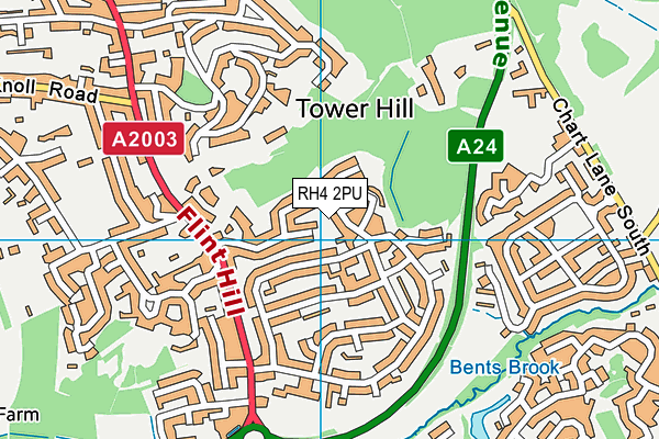 RH4 2PU map - OS VectorMap District (Ordnance Survey)