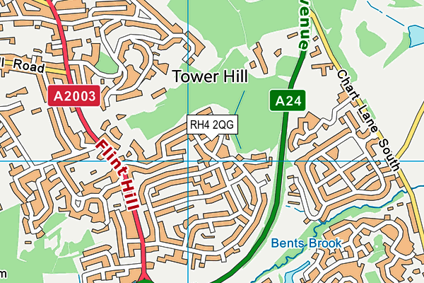 RH4 2QG map - OS VectorMap District (Ordnance Survey)