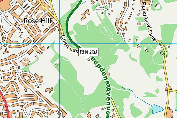 RH4 2QJ map - OS VectorMap District (Ordnance Survey)