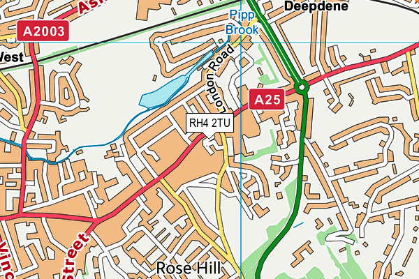 RH4 2TU map - OS VectorMap District (Ordnance Survey)