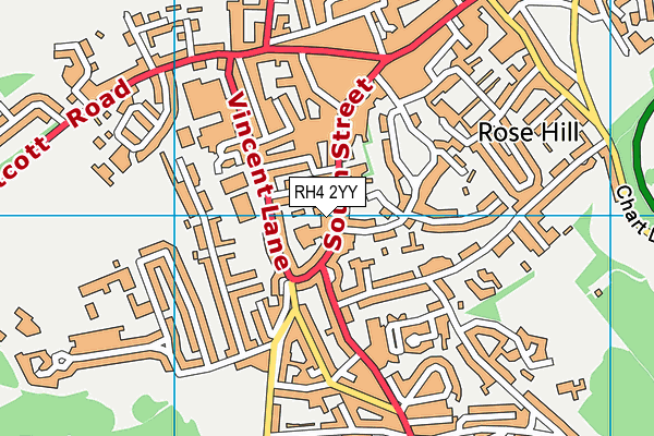 RH4 2YY map - OS VectorMap District (Ordnance Survey)