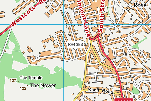 RH4 3BS map - OS VectorMap District (Ordnance Survey)