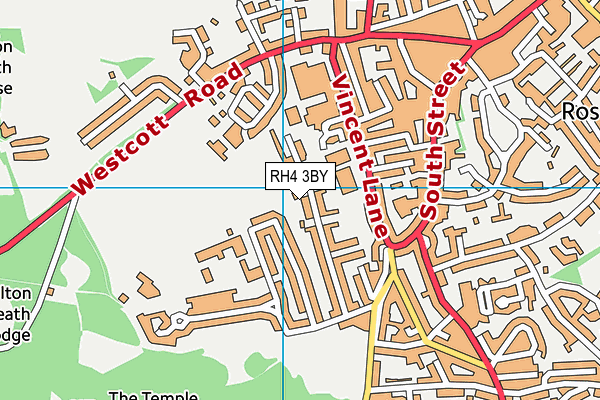 RH4 3BY map - OS VectorMap District (Ordnance Survey)