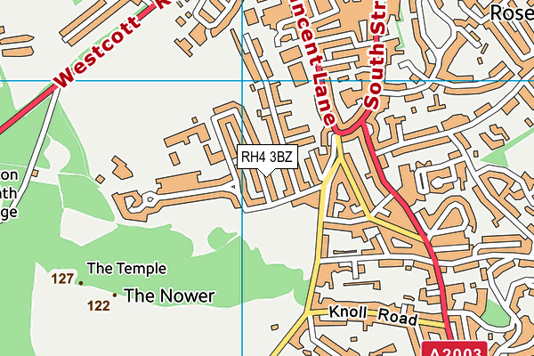 RH4 3BZ map - OS VectorMap District (Ordnance Survey)