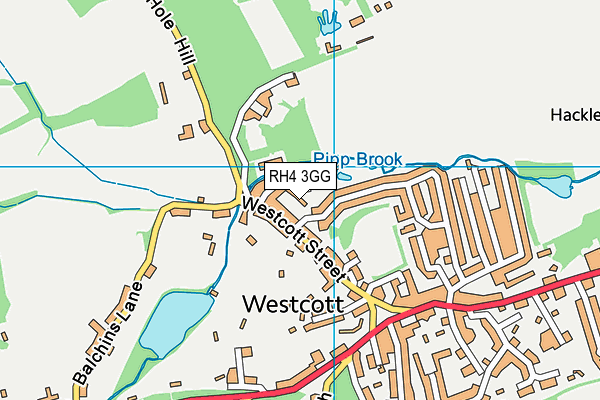 RH4 3GG map - OS VectorMap District (Ordnance Survey)
