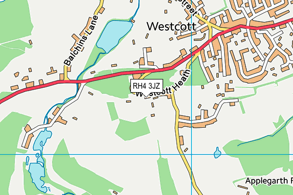 RH4 3JZ map - OS VectorMap District (Ordnance Survey)