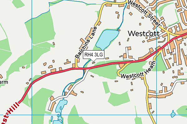 RH4 3LG map - OS VectorMap District (Ordnance Survey)