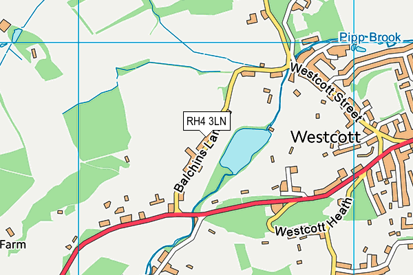 RH4 3LN map - OS VectorMap District (Ordnance Survey)