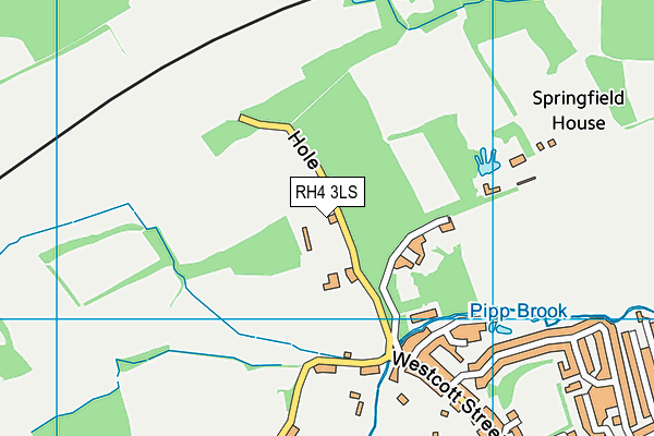 RH4 3LS map - OS VectorMap District (Ordnance Survey)