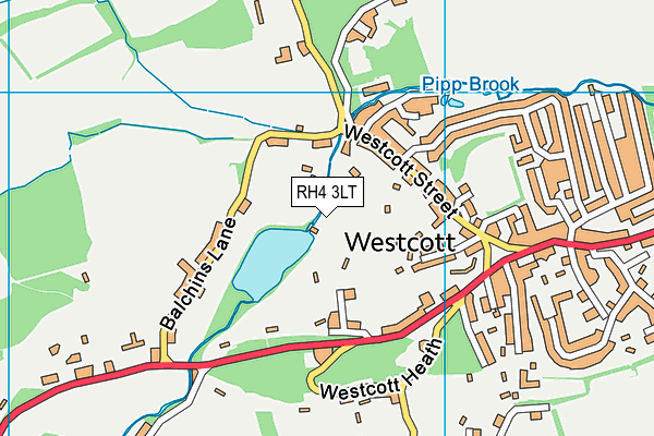 RH4 3LT map - OS VectorMap District (Ordnance Survey)