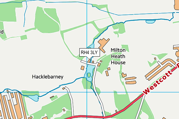 RH4 3LY map - OS VectorMap District (Ordnance Survey)