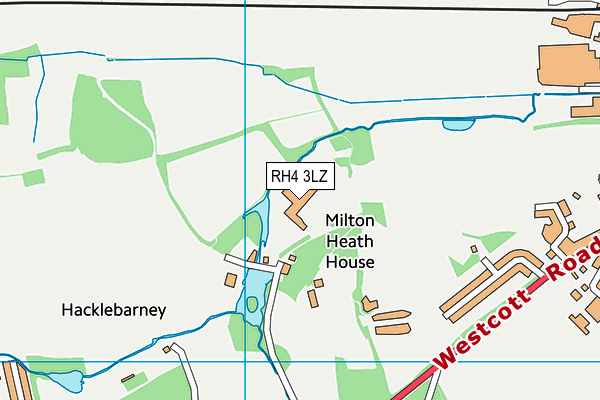 RH4 3LZ map - OS VectorMap District (Ordnance Survey)