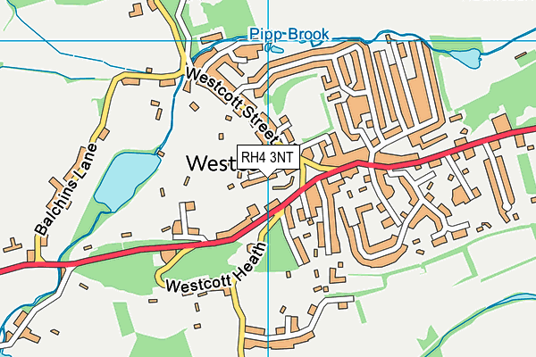 RH4 3NT map - OS VectorMap District (Ordnance Survey)