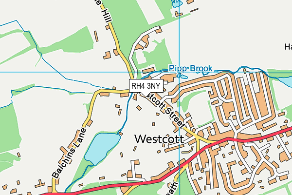 RH4 3NY map - OS VectorMap District (Ordnance Survey)