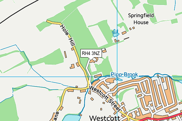 RH4 3NZ map - OS VectorMap District (Ordnance Survey)
