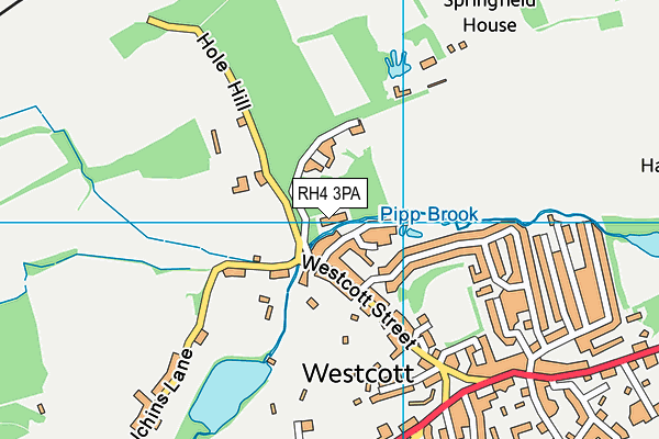 RH4 3PA map - OS VectorMap District (Ordnance Survey)