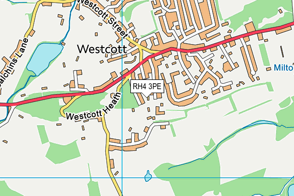 RH4 3PE map - OS VectorMap District (Ordnance Survey)