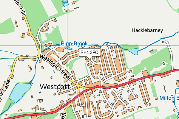 RH4 3PQ map - OS VectorMap District (Ordnance Survey)