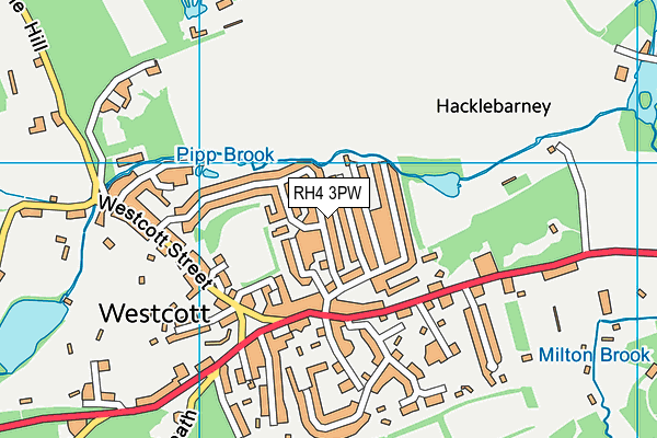 RH4 3PW map - OS VectorMap District (Ordnance Survey)