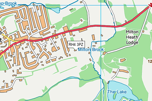 RH4 3PZ map - OS VectorMap District (Ordnance Survey)