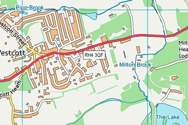 Surrey Hills All Saints Primary School map (RH4 3QF) - OS VectorMap District (Ordnance Survey)