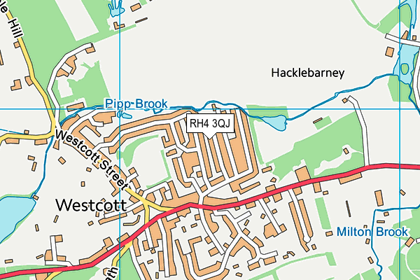 RH4 3QJ map - OS VectorMap District (Ordnance Survey)