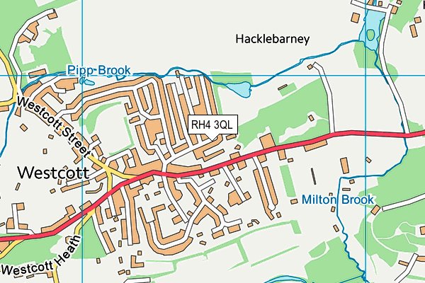 RH4 3QL map - OS VectorMap District (Ordnance Survey)