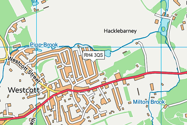 RH4 3QS map - OS VectorMap District (Ordnance Survey)