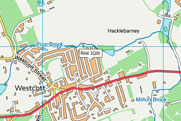 RH4 3QW map - OS VectorMap District (Ordnance Survey)