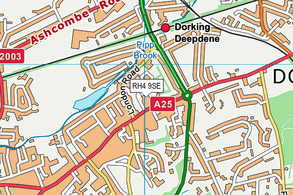 RH4 9SE map - OS VectorMap District (Ordnance Survey)